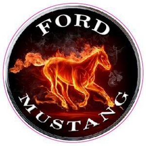 Meet your Posher, Tony